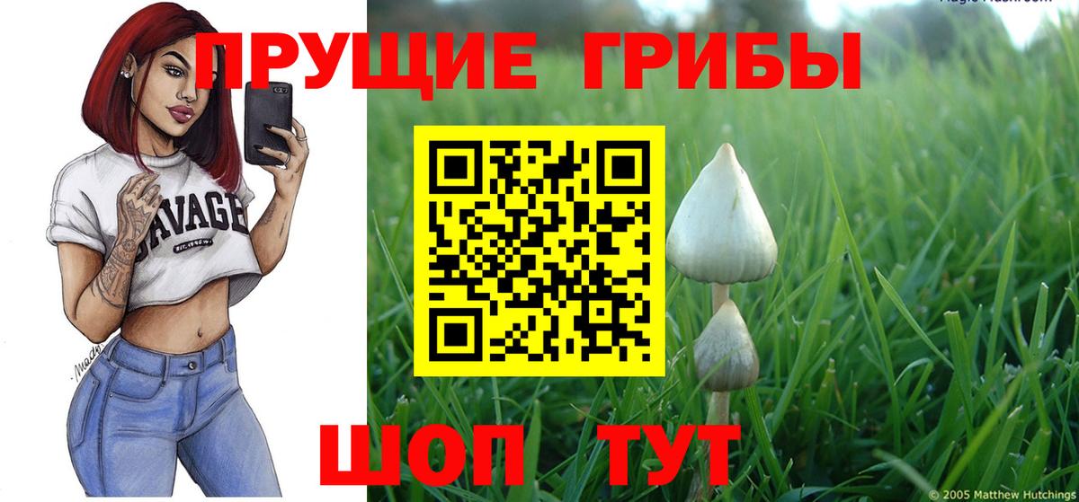 Псилоцибиновые грибы Psilocybine cubensis  Вход с VPN  даркнет сайт  Луховицы 