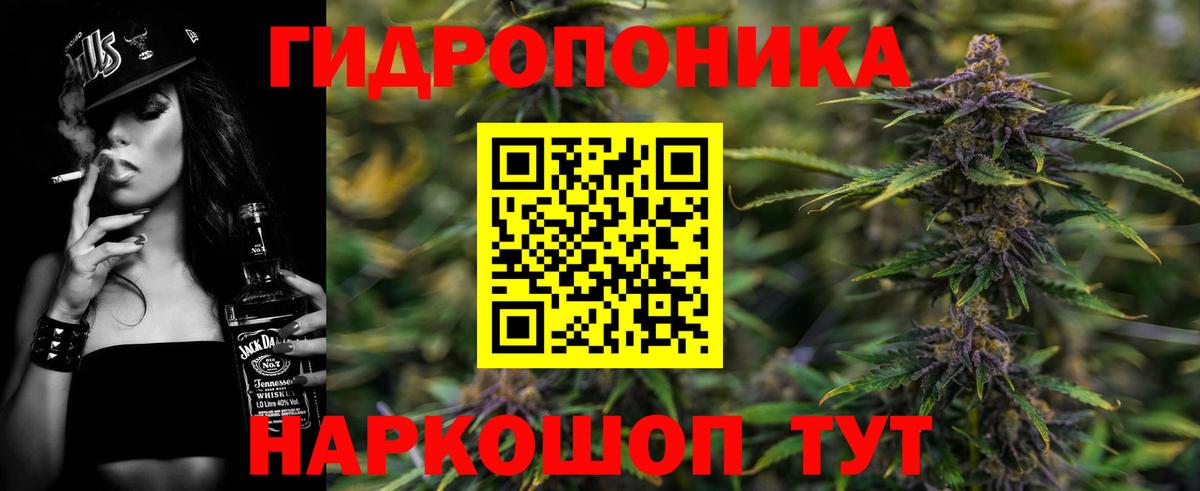 Канабис конопля Луховицы